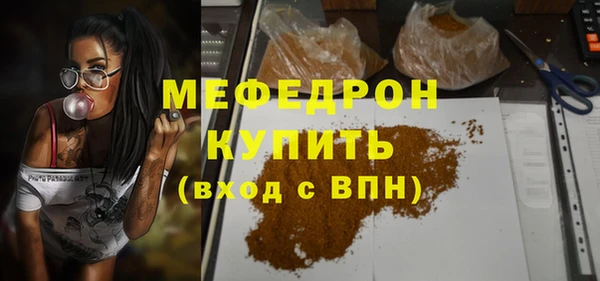 индика Гусиноозёрск