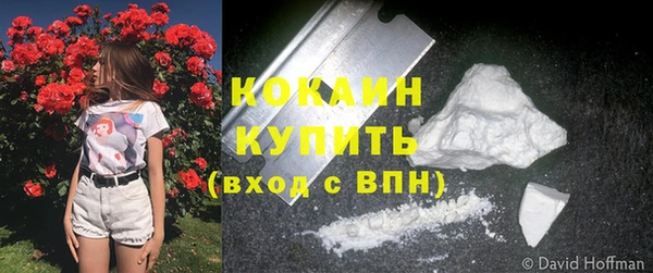 индика Гусиноозёрск
