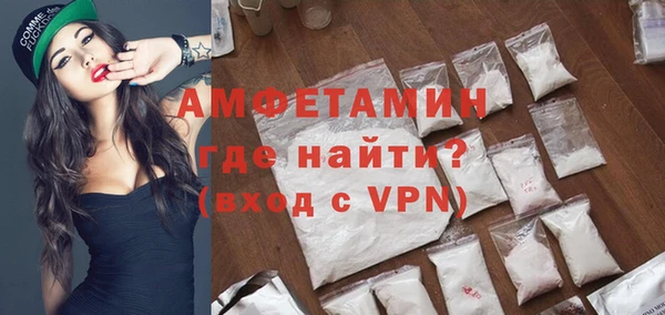 индика Гусиноозёрск